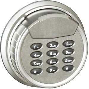 Honeywell 3032D Executive Gun Safe
